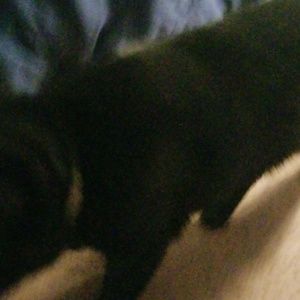 Meet your Posher, Claire